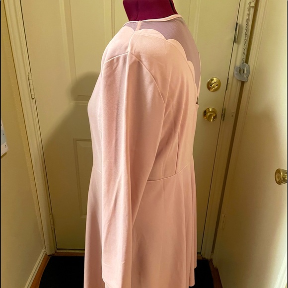 Shein blush skater dress with sheer scalloped opening in front and back - Picture 3 of 4